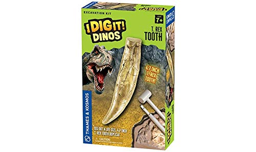 Thames & Kosmos I Dig It Dinos - T. Rex Tooth Excavation | Science Kit | Dinosaur Toy | Excavate A Giant Tyrannosaurus Rex Dinosaur Tooth | Oppenheim Toy Portfolio Platinum Award Winner