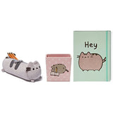 Enesco Pusheen Pencil Holder bundle with Green Hey Journal, and Pencil Case