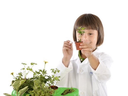 Thames & Kosmos Little Labs: Botany  Greenhouse