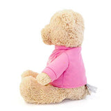 GUND I'm the Big Sister T-Shirt Teddy Bear Stuffed Animal Plush, Pink, 12