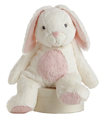 Aurora World Quizzies 16" Bun Bun Bunny Stuffed Bunny (Pink)