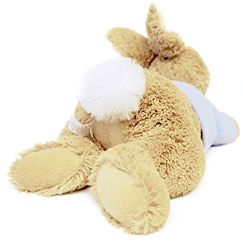 GUND Peter Rabbit Laying Down Plush Stuffed Bunny, 12"