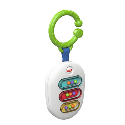 Fisher-Price Xylo Rattle