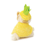 GUND Itty Bitty Boo Pineapple Plush Stuffed Dog, 5"