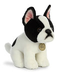 Aurora - Miyoni - 11" Boston Terrier Pup