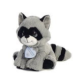 Aurora - Precious Moments - 8.5" Rascal Raccoon