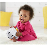 Fisher-Price Have a Ball Hippo