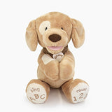 GUND Baby Spunky Doggie ABC 123 Animated Stuffed Animal Plush, Tan, 14"