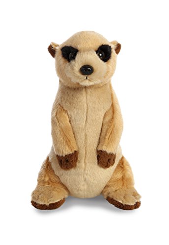 Aurora - Destination - 8" Meerkat