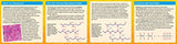 Thames and Kosmos Molecule Madness