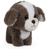 GUND Pet Shop Shih Tzu Puppy Dog Plush Stuffed Animal, Brown and White, 6"