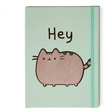 Enesco Pusheen Pencil Holder bundle with Green Hey Journal, and Pencil Case