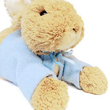 GUND Peter Rabbit Laying Down Plush Stuffed Bunny, 12"