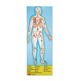 Melissa and Doug Kids Toy, Human Body 100-Piece Floor Puzzle