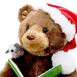 GUND Gnd GBD Storytime Bear GBL, Multicolor