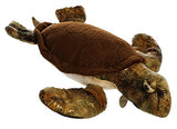Aurora - Miyoni - 17" Sea Turtle