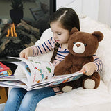 GUND Finley Teddy Bear Plush Stuffed Animal, Brown, 13"
