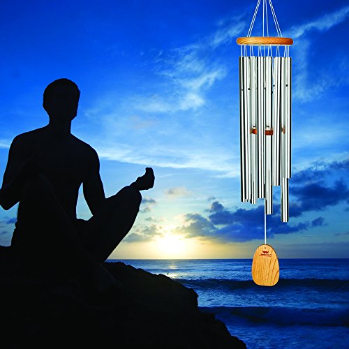 Woodstock Chimes TMS Meditation Chime, Silver