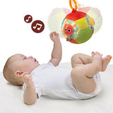 Yookidoo Musical Soft Play Baby Ball - Lights N Music Motion Activated Fun Baby Toy Ball (3m+)