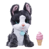 FurReal friends Li'l Big Paws Treat Time Frankie Pet