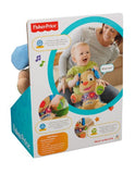 Fisher-Price Laugh & Learn Love to Play Puppy