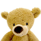 GUND Fuzzy Teddy Bear Stuffed Animal Plush, Beige, 13.5"