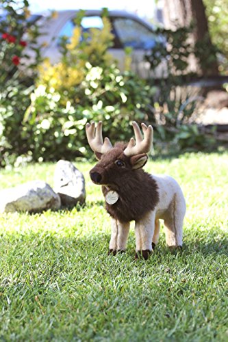 Aurora - Miyoni - 14" Elk - Large