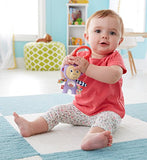 Fisher-Price Monkey Rattle