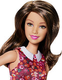 Barbie Teresa Doll with Shoes and Accessories