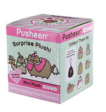 Pusheen Mystery Box - Christmas Series # 5