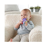 Fisher-Price Monkey Teething Pal
