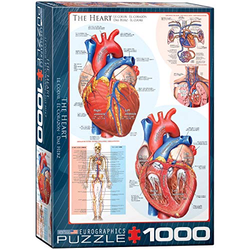 EuroGraphics Human Body (The Heart) Puzzle (1000-Piece)