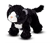 Lexie Black Cat