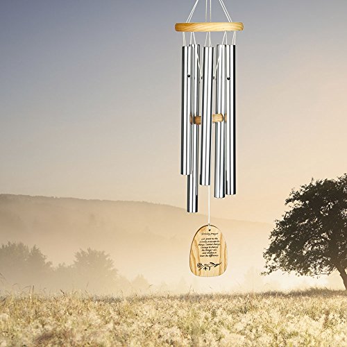 Woodstock Chimes WRSP Reflections Chime, Serenity Prayer