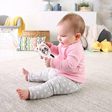 Fisher-Price Peek & Play Panda Mirror