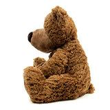 GUND Grahm Teddy Bear Plush Stuffed Animal, Brown, 18"