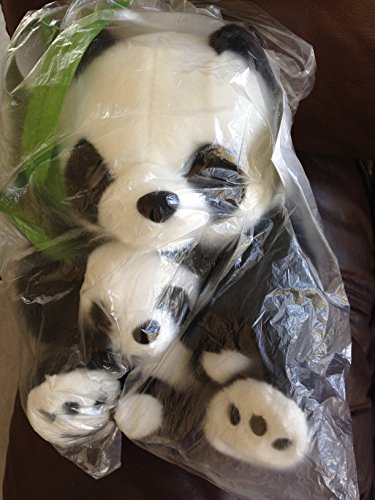 Aurora - Miyoni - 15" Panda With Cub