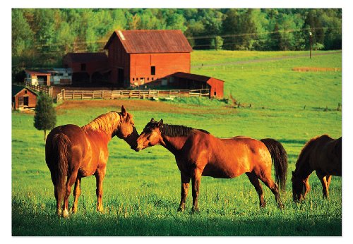 Melissa & Doug Kissing Horses with Barn Jigsaw Puzzle, 200-Piece