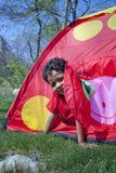 Melissa & Doug Sunny Patch Mollie Ladybug Camping Tent