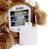GUND Gnd GBD Storytime Bear GBL, Multicolor