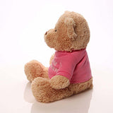 GUND I'm the Big Sister T-Shirt Teddy Bear Stuffed Animal Plush, Pink, 12