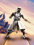 TAMASHII NATIONS Bandai S.H.Figuarts Rashid Street Fighter V Action Figure