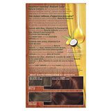 Clairol Natural Instincts Crema Keratina Hair Color Kit, Dark Brown 4 Coffee Creme, 1 Count
