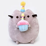 Enesco Pusheen Birthday Mug bundle with 10.5" Cupcake Plush