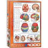 EuroGraphics Human Body (The Brain) 1000 Piece Puzzle