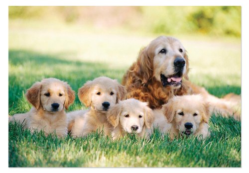Melissa & Doug Golden Retriever with Puppies Jigsaw Puzzle, 100-Piece