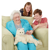 Ageless Innovation | Joy For All Companion Pets | Creamy White Cat | Lifelike & Realistic
