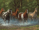 Springbok's 36 Piece Jigsaw Puzzle Summer Creek