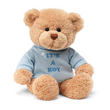 GUND Its a Boy T-Shirt Teddy Bear Stuffed Animal Plush, Blue, 12