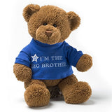 GUND I'm the Big Brother T-Shirt Teddy Bear Stuffed Animal Plush, Blue, 12